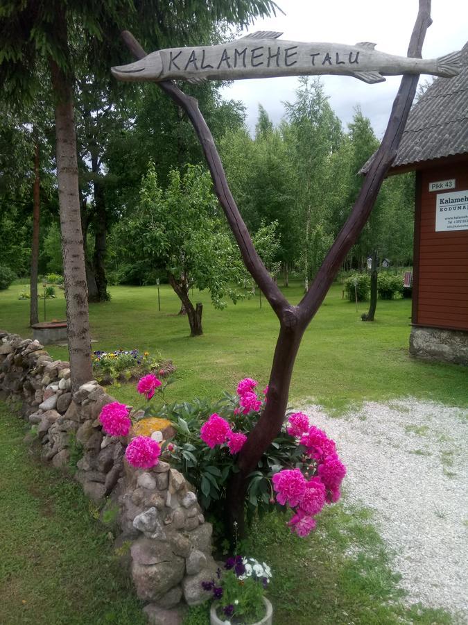 Kalamehe Farmstay Алатскиви Экстерьер фото