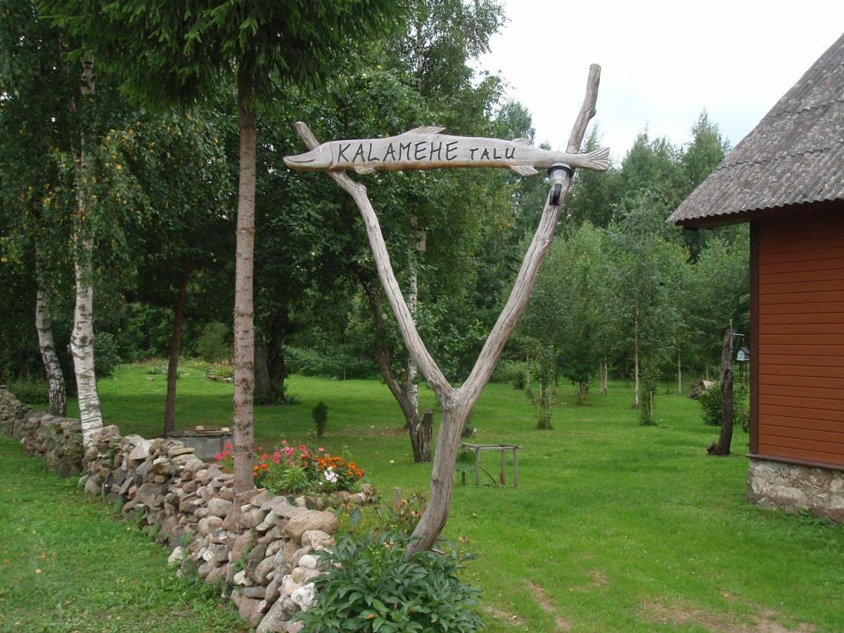 Kalamehe Farmstay Алатскиви Экстерьер фото